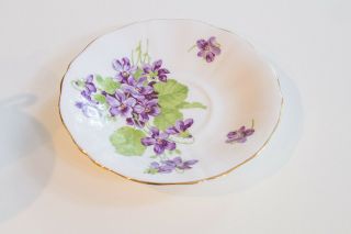 Vintage Adderley Footed Teacup Saucer Violets Fine English Bone China Gold Trim 5