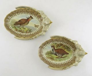 2 Antique 1889 Royal Worcester Porcelain Water Fowl Game Bird Bone Bowls/dishes