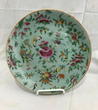 Antique Signed Chinese Famile Rose Celadon Porcelain Plate 10 " Dia.