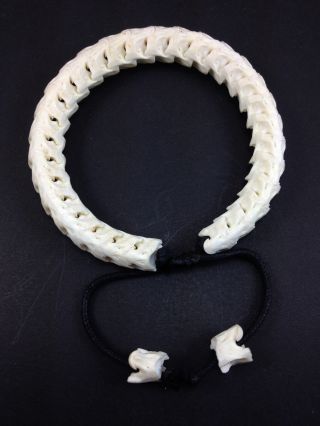 Rare Real Snake Spine Bone Skeleton Wrist Bracelet Amulet Tribal Ant