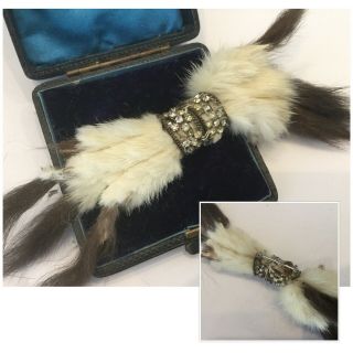 Antique Victorian Jewellery Rare Fur Pelts Claws & Crystal Brooch Dress Pin
