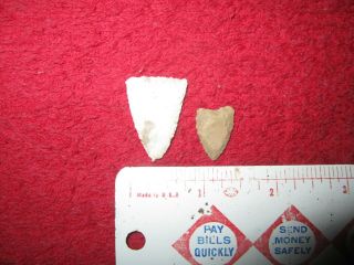 2 Triangular Arrowheads (se End Horicon Marsh,  Wisconsin,  Dodge County)