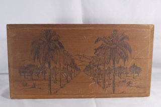 Vintage Wood Box With Palm Trees Lined Avenue On Lid