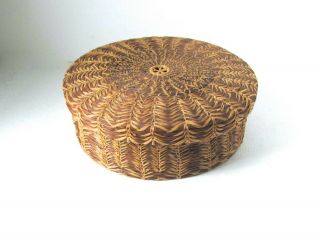 SEMINOLE BASKET Native American Antique PINE NEEDLE Lidded Round Basket Rare 3