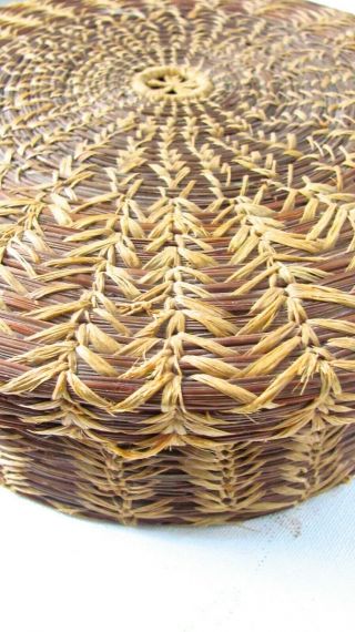 SEMINOLE BASKET Native American Antique PINE NEEDLE Lidded Round Basket Rare 7