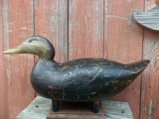 Antique Mason Premier Grade Black Duck Decoy With Ink Stamp Paint