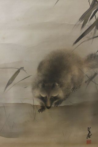 G05r2 狸 Tanuki Cute Raccoon Dog & Full Moon Japanese Hanging Scroll
