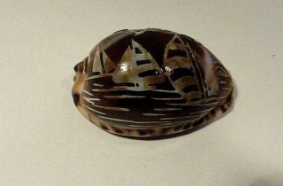 Hand Carved Sea Shell Sailboat Motif