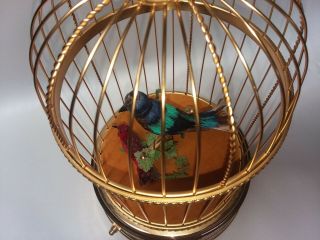 VTG REUGE SINGING BIRD IN CAGE AUTOMATON MUSIC BOX CLOCK NEAR AS FOUND 5
