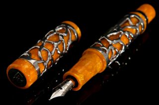 Delta 25th Anniversary Pen 18k gold nib ultra rare 250 made fountain pen 3