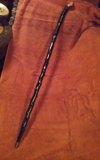 Vintage Authentic Blackthorn Shillelagh Thorny Irish Walking Stick With Ferrule 4