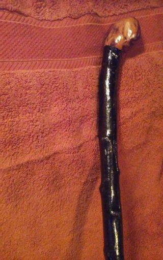 Vintage Authentic Blackthorn Shillelagh Thorny Irish Walking Stick With Ferrule 5