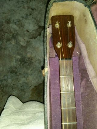 Martin Guitar 1930 Plectrum Rare 2