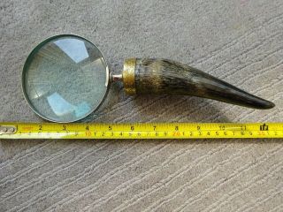 Vintage Decorated Bovine Horn Hand Held Magnifying Glass