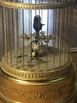 Vintage Reuge Music Box Bird In Cage Swiss Made 2