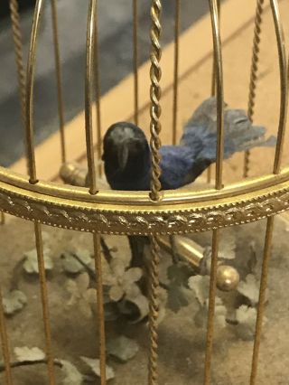Vintage Reuge Music Box Bird In Cage Swiss Made 5