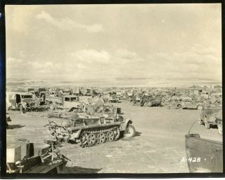 Wwii 1943 4th Field Hospital - Captured German Halftrack,  Cars,  & Tanks - Tunis