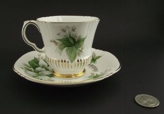ROYAL ADDERLEY TRILLIUM PATTERNED ANTIQUE CABINET TEA CUP AND SAUCER 2