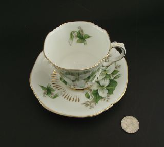 ROYAL ADDERLEY TRILLIUM PATTERNED ANTIQUE CABINET TEA CUP AND SAUCER 3