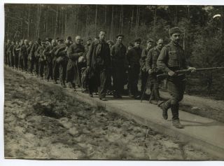 Wwii Large Size Press Photo: Convoyed Surrendered German Soldiers