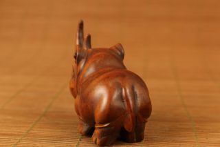 boxwood hand carved japanese rhinoceros statue netsuke 5