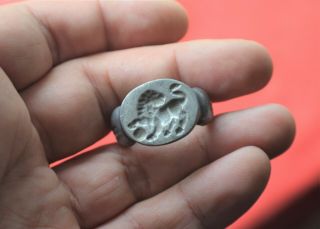 Rare,  Large Solid Silver,  Seal Ring,  Lion 500 - 400 Bc