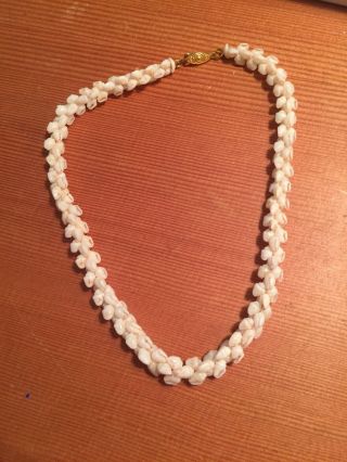100 Hawaii Hawaiian Niihau Momi Pikaki Shell Necklace 16 " Creamy White Lucoral