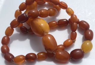 Antique Natural Baltic Amber Butterscotch Egg Yolk Beaded Necklace 45 Grams 2