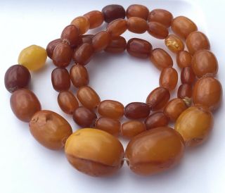 Antique Natural Baltic Amber Butterscotch Egg Yolk Beaded Necklace 45 Grams 3
