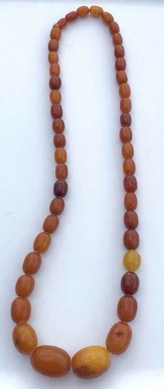 Antique Natural Baltic Amber Butterscotch Egg Yolk Beaded Necklace 45 Grams 4