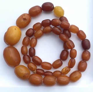 Antique Natural Baltic Amber Butterscotch Egg Yolk Beaded Necklace 45 Grams 5