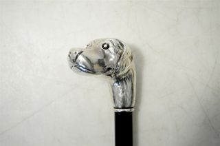 Vintage 36 " Italian Walking Cane W/sterling Silver.  925 Dog Head Handle