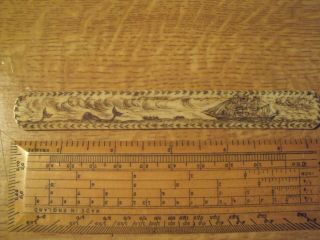 Antique Scrimshaw Bovine Bone Letter Opener Whaling Ship.