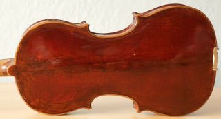 Old Violin 4/4 Geige Viola Cello Fiddle Label Gia.  Bapt.  Grancino