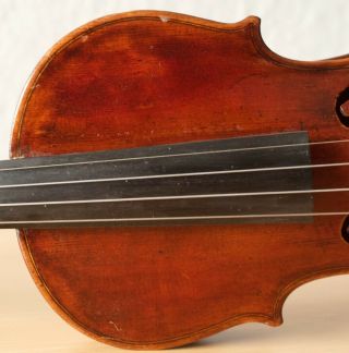 old violin 4/4 geige viola cello fiddle label GIA.  BAPT.  GRANCINO 4