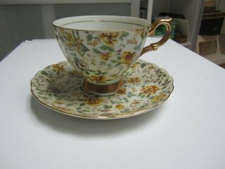 Vintage Tea Cup & Saucer Set By Napco China Hand Painted Rose Pattern