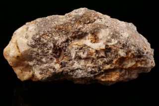 RARE Native Gold & Chlorargyrite TOMBSTONE,  ARIZONA 12