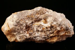 Rare Native Gold & Chlorargyrite Tombstone,  Arizona