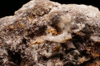 RARE Native Gold & Chlorargyrite TOMBSTONE,  ARIZONA 2
