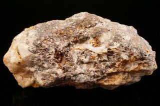 RARE Native Gold & Chlorargyrite TOMBSTONE,  ARIZONA 3