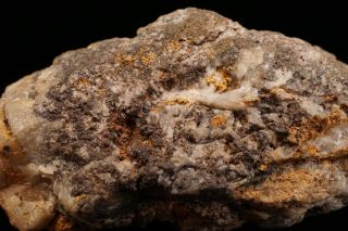 RARE Native Gold & Chlorargyrite TOMBSTONE,  ARIZONA 4