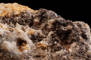 RARE Native Gold & Chlorargyrite TOMBSTONE,  ARIZONA 8