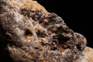 RARE Native Gold & Chlorargyrite TOMBSTONE,  ARIZONA 9