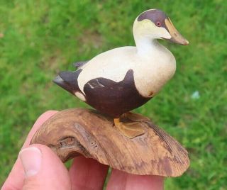 Vtg Harold Gibbs Hand Carved Eider Duck - Barrington Ri Signed Hg Wooden Decoy