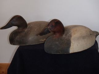 Antique Wildfowler canvasbacks 2