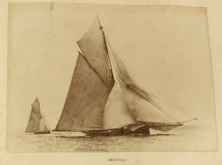 c1888 - 90 | nine rare albumen photographs yachts sydney australia,  samoa wreck 7