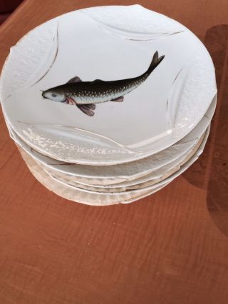 Vintage 11 - pc Set Carlsbad H & C Fish Platter & Plates & Sauce Austria 7