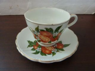 Vintage Porcelain " California " Tea Cup And Saucer With Oranges
