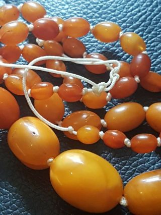 Antique Butterscotch Egg Yolk Amber Bead Necklace 100 Natural 11