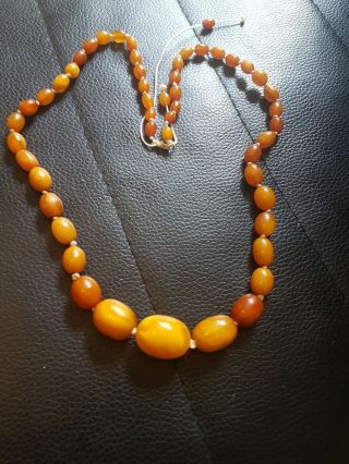 Antique Butterscotch Egg Yolk Amber Bead Necklace 100 Natural 2